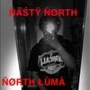 nuttynorthsider